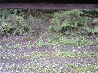 長野県菅平高原 ゆたか山荘 南側 2025/10/07 09:30