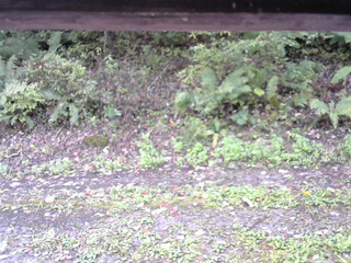 長野県菅平高原 ゆたか山荘 南側 2025/10/07 09:45