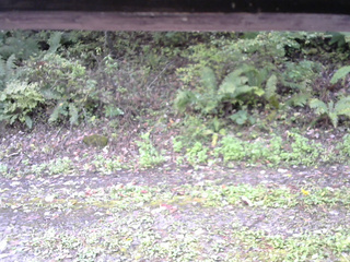 長野県菅平高原 ゆたか山荘 南側 2025/10/07 10:00