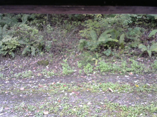 長野県菅平高原 ゆたか山荘 南側 2025/10/07 10:45