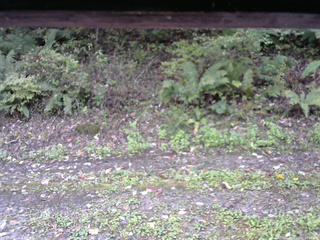 長野県菅平高原 ゆたか山荘 南側 2025/10/07 11:00