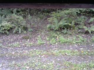 長野県菅平高原 ゆたか山荘 南側 2025/10/07 11:30