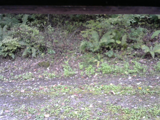 長野県菅平高原 ゆたか山荘 南側 2025/10/07 12:00