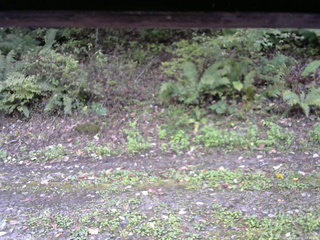 長野県菅平高原 ゆたか山荘 南側 2025/10/07 12:30