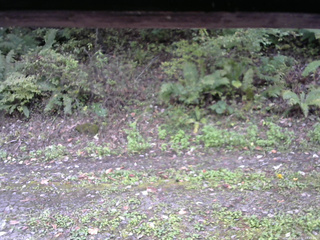 長野県菅平高原 ゆたか山荘 南側 2025/10/07 13:45