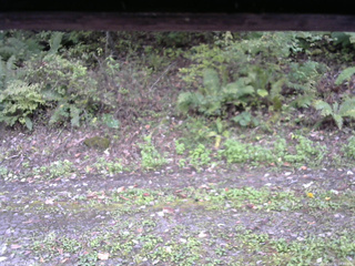 長野県菅平高原 ゆたか山荘 南側 2025/10/07 14:00