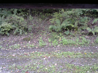 長野県菅平高原 ゆたか山荘 南側 2025/10/07 15:45