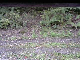 長野県菅平高原 ゆたか山荘 南側 2025/10/07 16:00