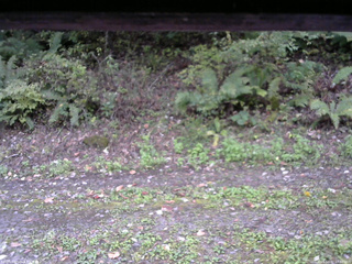 長野県菅平高原 ゆたか山荘 南側 2025/10/07 17:00