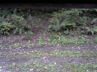 長野県菅平高原 ゆたか山荘 南側 2025/10/07 17:15