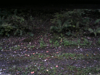 長野県菅平高原 ゆたか山荘 南側 2025/10/07 17:30