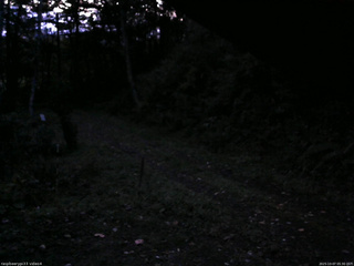 長野県菅平高原 ゆたか山荘 東側(坂下) 2025/10/07 05:30