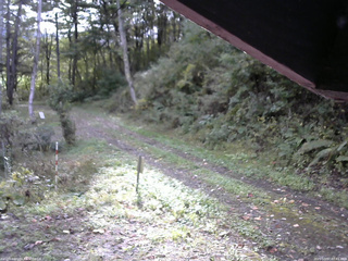 長野県菅平高原 ゆたか山荘 東側(坂下) 2025/10/07 07:45