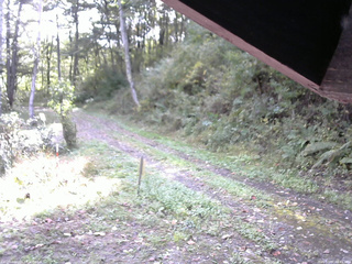 長野県菅平高原 ゆたか山荘 東側(坂下) 2025/10/07 08:45