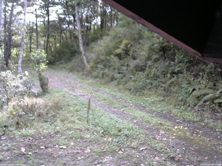 長野県菅平高原 ゆたか山荘 東側(坂下) 2025/10/07 09:15