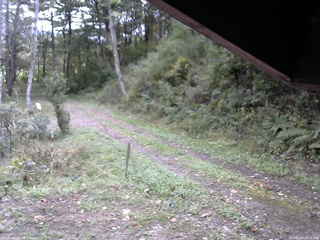 長野県菅平高原 ゆたか山荘 東側(坂下) 2025/10/07 10:15