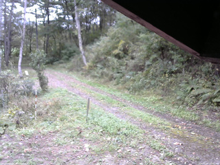 長野県菅平高原 ゆたか山荘 東側(坂下) 2025/10/07 12:30