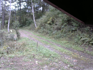 長野県菅平高原 ゆたか山荘 東側(坂下) 2025/10/07 13:30