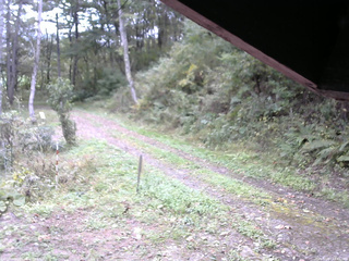 長野県菅平高原 ゆたか山荘 東側(坂下) 2025/10/07 13:45