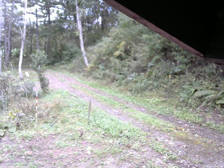 長野県菅平高原 ゆたか山荘 東側(坂下) 2025/10/07 15:30