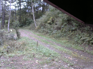 長野県菅平高原 ゆたか山荘 東側(坂下) 2025/10/07 16:30