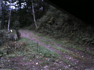 長野県菅平高原 ゆたか山荘 東側(坂下) 2025/10/07 17:30