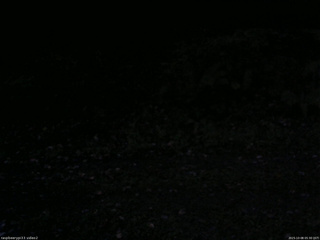 長野県菅平高原 ゆたか山荘 南側 2025/10/08 05:30