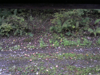 長野県菅平高原 ゆたか山荘 南側 2025/10/08 05:45