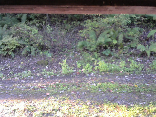 長野県菅平高原 ゆたか山荘 南側 2025/10/08 06:15