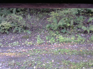 長野県菅平高原 ゆたか山荘 南側 2025/10/08 06:30