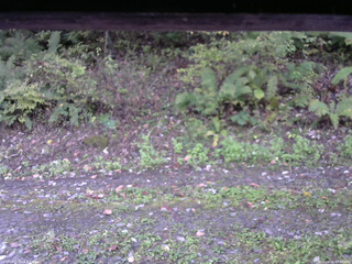 長野県菅平高原 ゆたか山荘 南側 2025/10/08 07:00