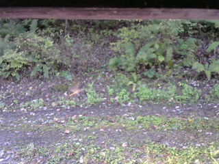 長野県菅平高原 ゆたか山荘 南側 2025/10/08 07:15