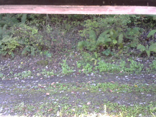 長野県菅平高原 ゆたか山荘 南側 2025/10/08 07:30