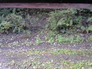 長野県菅平高原 ゆたか山荘 南側 2025/10/08 08:00