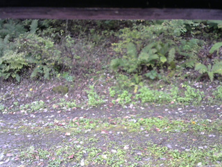 長野県菅平高原 ゆたか山荘 南側 2025/10/08 08:15