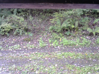 長野県菅平高原 ゆたか山荘 南側 2025/10/08 08:30