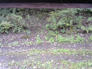 長野県菅平高原 ゆたか山荘 南側 2025/10/08 08:45