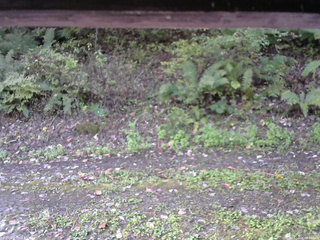 長野県菅平高原 ゆたか山荘 南側 2025/10/08 09:00