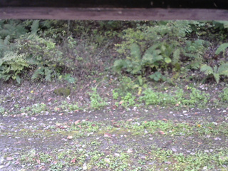 長野県菅平高原 ゆたか山荘 南側 2025/10/08 09:15