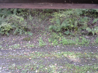 長野県菅平高原 ゆたか山荘 南側 2025/10/08 09:30