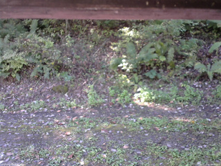 長野県菅平高原 ゆたか山荘 南側 2025/10/08 09:45