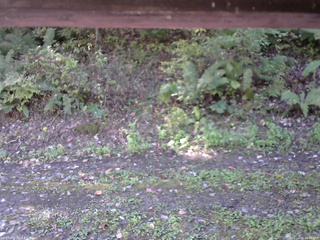 長野県菅平高原 ゆたか山荘 南側 2025/10/08 10:00