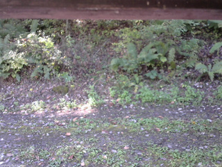 長野県菅平高原 ゆたか山荘 南側 2025/10/08 10:15