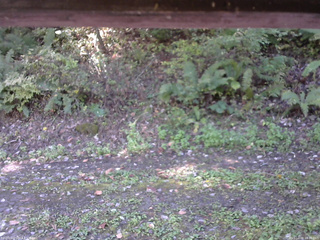 長野県菅平高原 ゆたか山荘 南側 2025/10/08 10:30