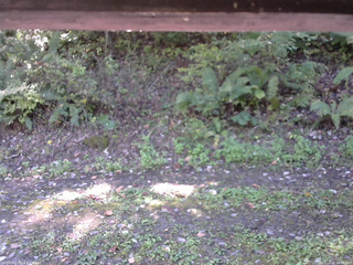 長野県菅平高原 ゆたか山荘 南側 2025/10/08 10:45