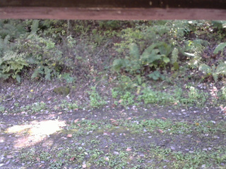 長野県菅平高原 ゆたか山荘 南側 2025/10/08 11:00