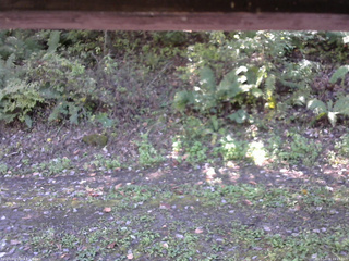 長野県菅平高原 ゆたか山荘 南側 2025/10/08 11:15