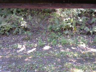 長野県菅平高原 ゆたか山荘 南側 2025/10/08 11:30