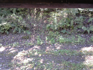 長野県菅平高原 ゆたか山荘 南側 2025/10/08 11:45