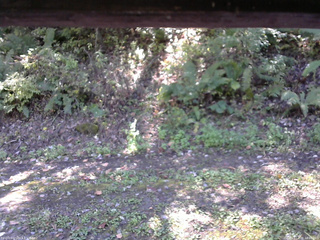 長野県菅平高原 ゆたか山荘 南側 2025/10/08 12:00